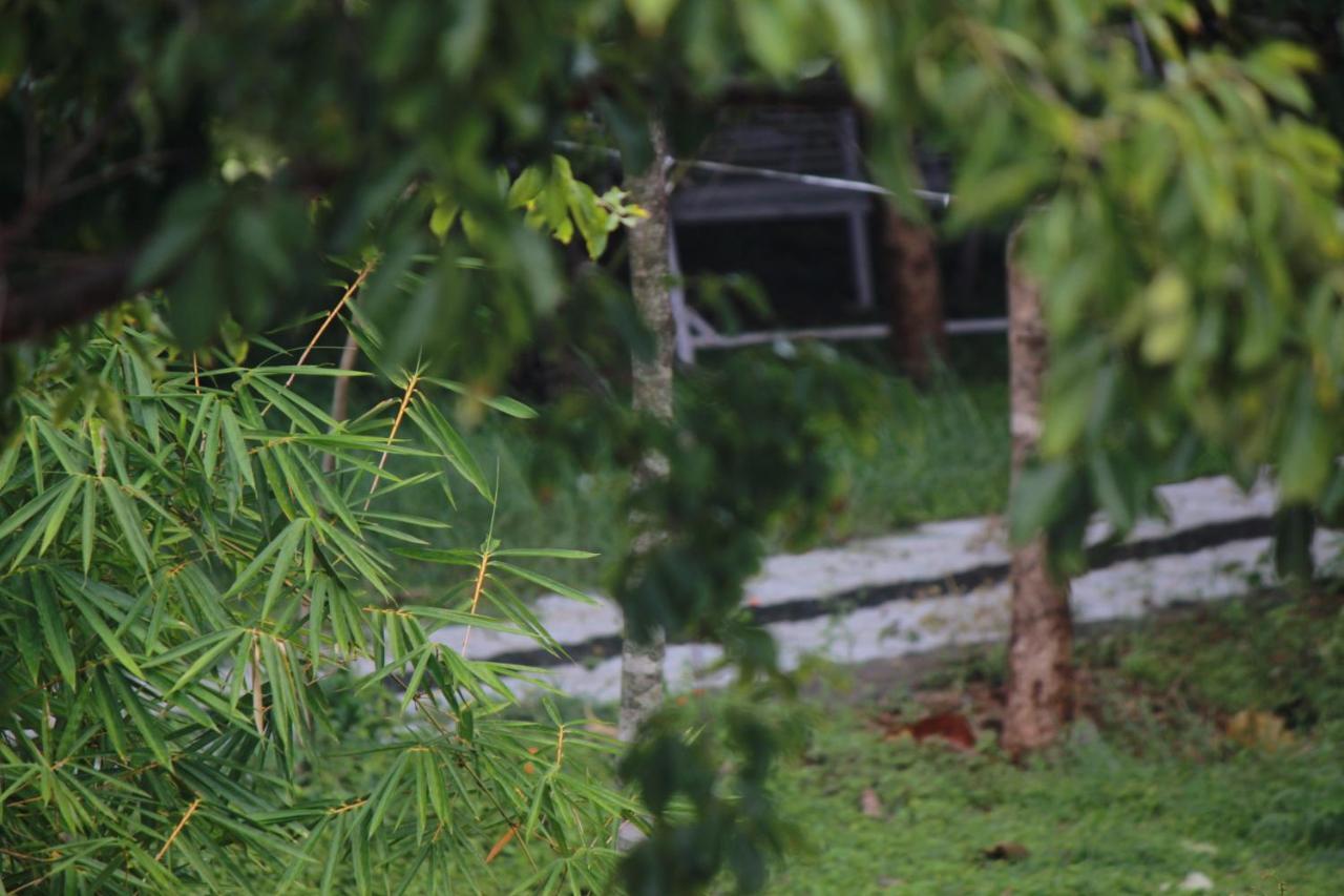Vividearth Resorts Bandipūr 外观 照片