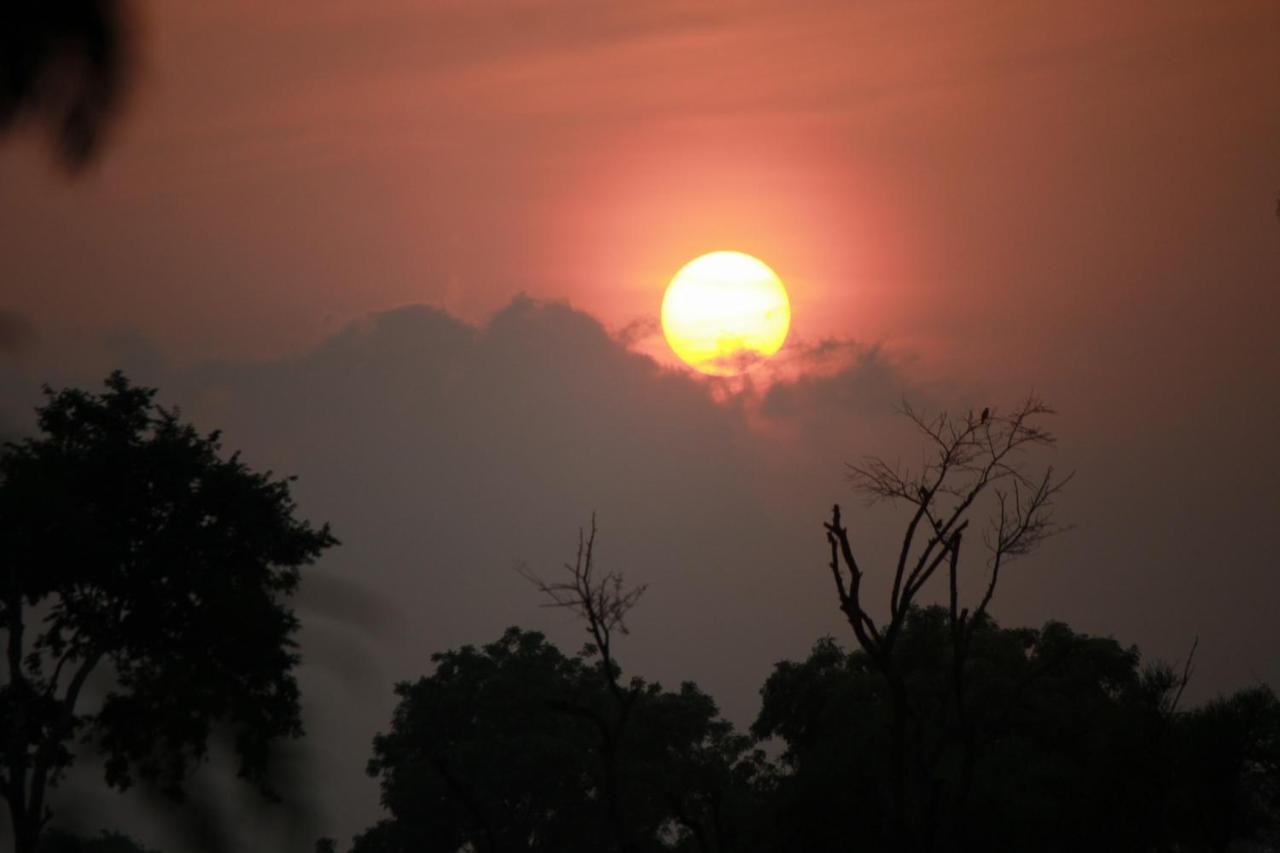 Vividearth Resorts Bandipūr 外观 照片