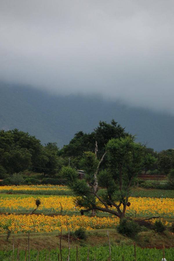 Vividearth Resorts Bandipūr 外观 照片